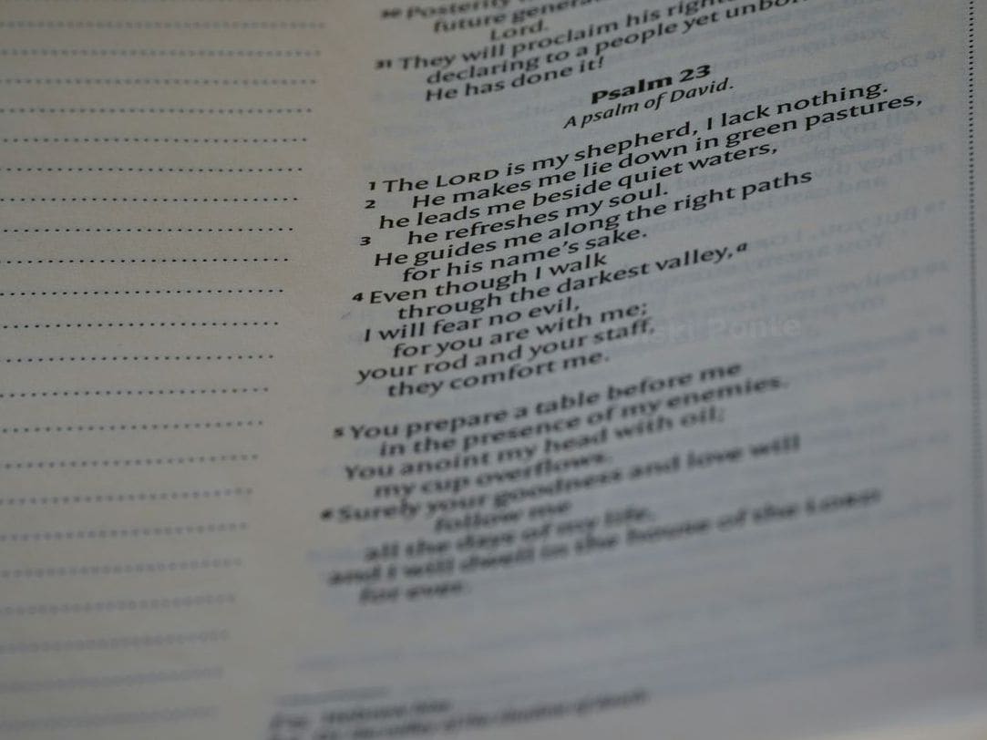 Polski Ponte 5